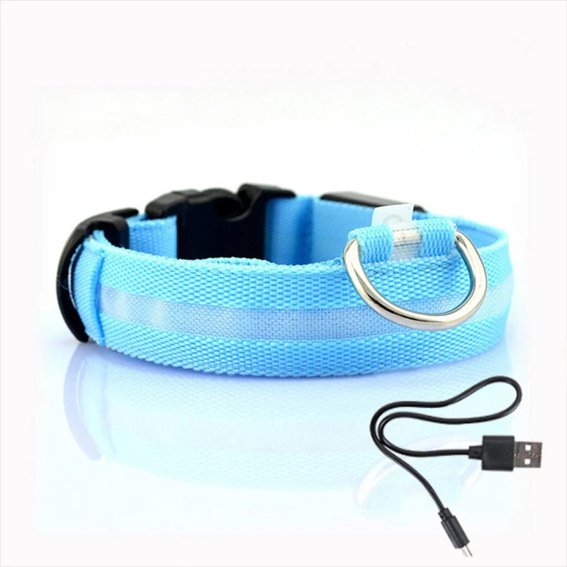 LED Dog Collar Light - Anti-Lost Illuminated Accessory for Dogs and Puppies, USB Rechargeable
