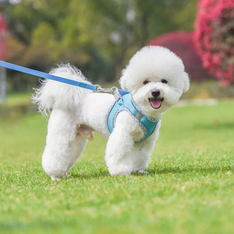 Reflective Adjustable Pet Harness and Leash Set for Small to Medium Dogs and Cats - Ideal for Outdoor Walking