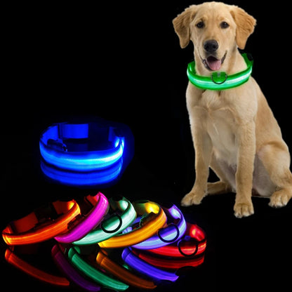 LED Dog Collar Light - Anti-Lost Illuminated Accessory for Dogs and Puppies, USB Rechargeable