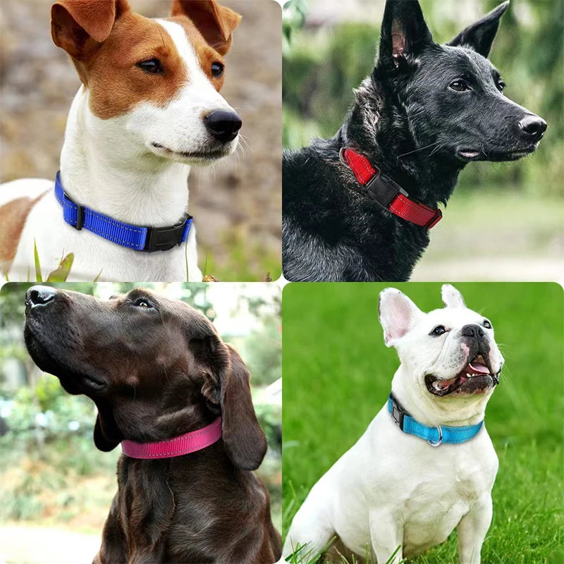 Reflective Neoprene Padded Dog Collar for Medium to Large Breeds - Adjustable and Durable Nylon Design