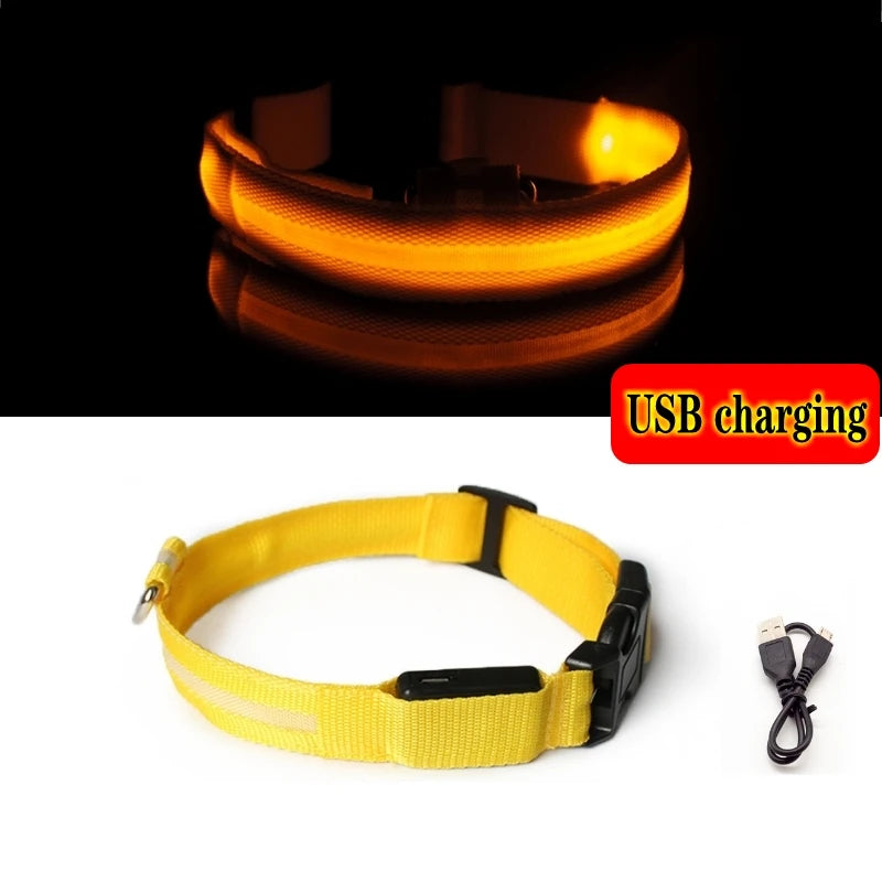 LED Dog Collar Light - Anti-Lost Illuminated Accessory for Dogs and Puppies, USB Rechargeable