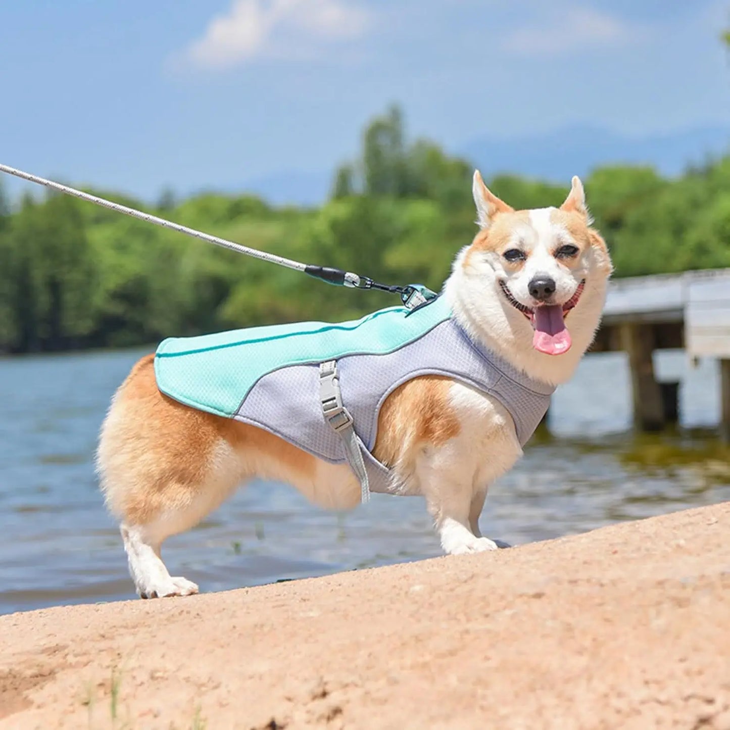 Summer Dog Cooling Vest - Heat-Resistant, Breathable, Sun-Proof Apparel for Small and Large Dogs During Outdoor Activities