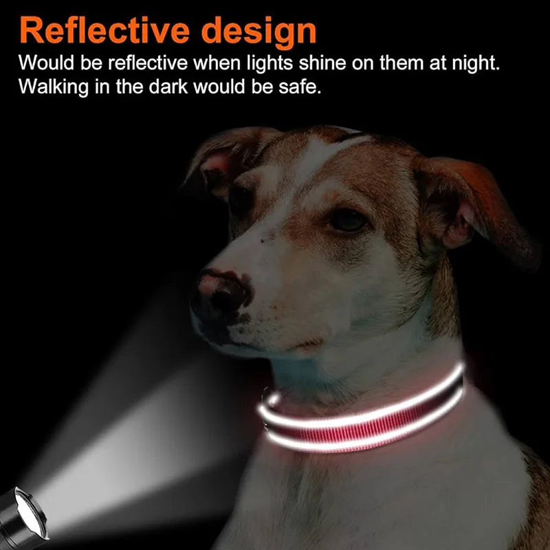 Reflective Neoprene Padded Dog Collar for Medium to Large Breeds - Adjustable and Durable Nylon Design