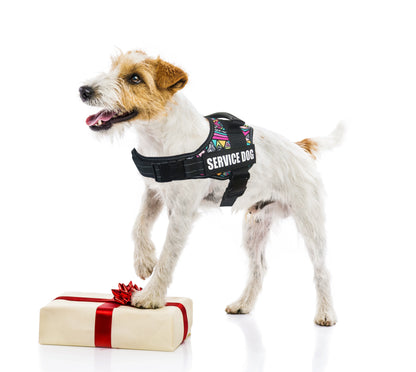 Premium Service Dog and Emotional Support Harness Vest with Removable Reflective Patches for Medium to Large Dogs