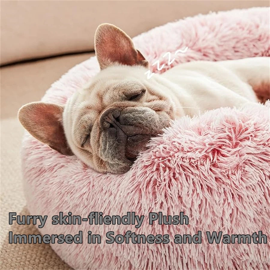 Cozy Plush Donut Cat Bed - Soft, Warm & Washable Comfort for Small to Medium Pets