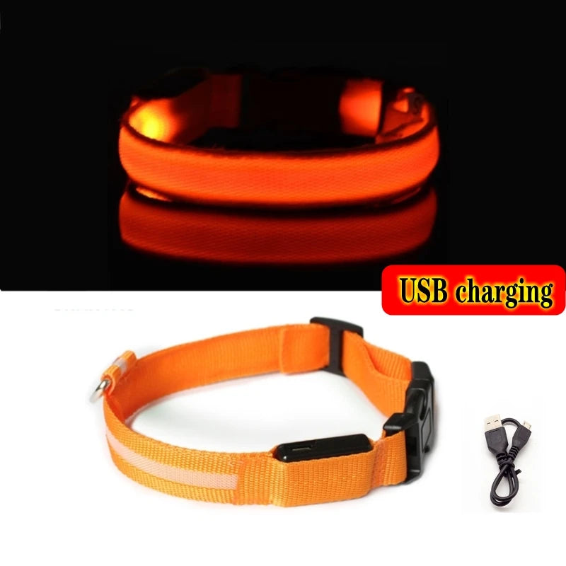 LED Dog Collar Light - Anti-Lost Illuminated Accessory for Dogs and Puppies, USB Rechargeable