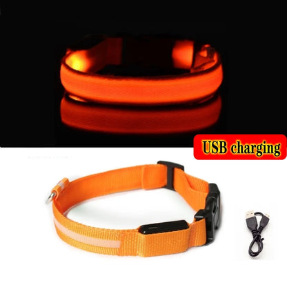 LED Dog Collar Light - Anti-Lost Illuminated Accessory for Dogs and Puppies, USB Rechargeable