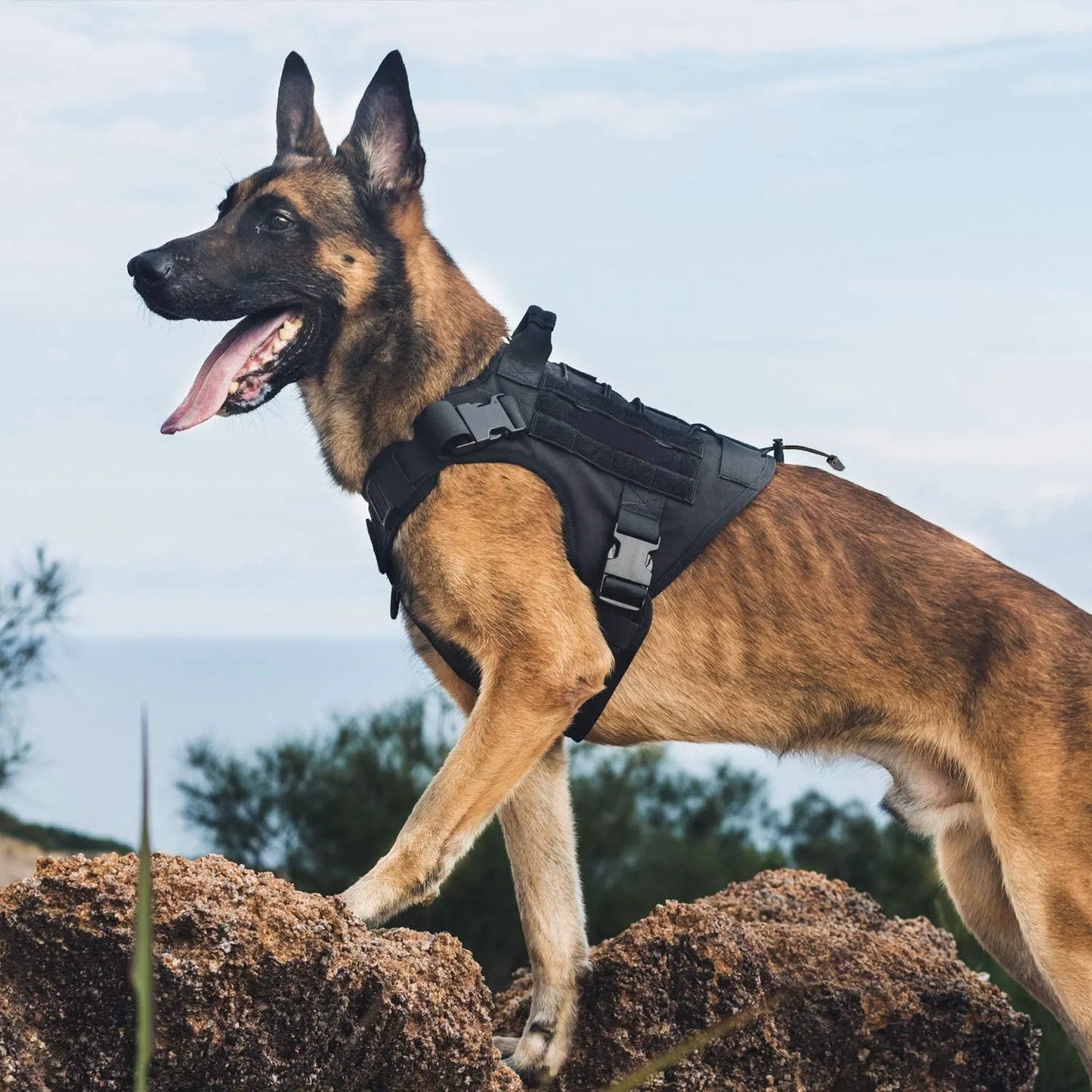 Tactical Dog Harness with Handle - Adjustable No-Pull Service Dog Vest with Hook & Loop Panels
