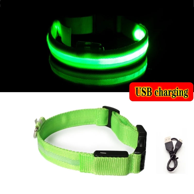 LED Dog Collar Light - Anti-Lost Illuminated Accessory for Dogs and Puppies, USB Rechargeable