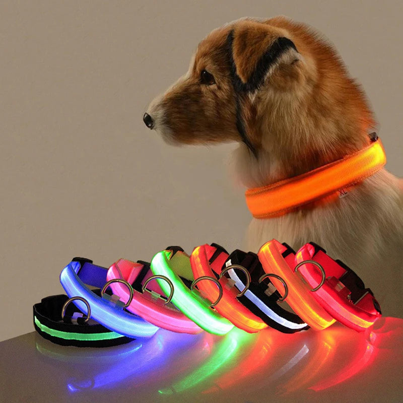 LED Dog Collar Light - Anti-Lost Illuminated Accessory for Dogs and Puppies, USB Rechargeable